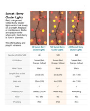 Qbis Fireplace Sunset LED