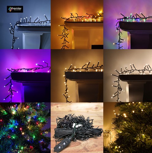 Premier christmas cluster - premier,